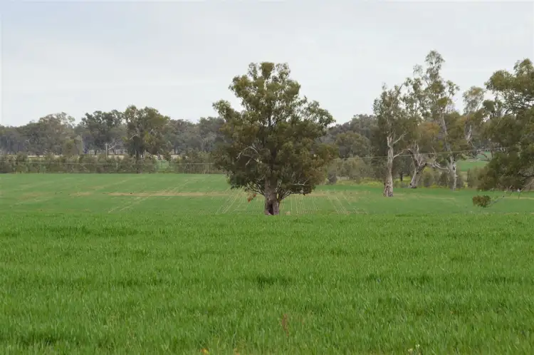 Third view of Homely rural property listing, 3931 Old Narrandera Road, Currawarna via, Wagga Wagga NSW 2650
