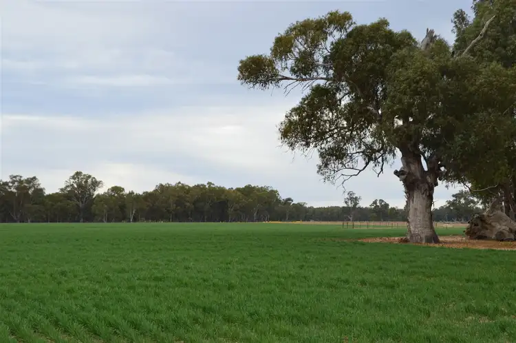 Fourth view of Homely rural property listing, 3931 Old Narrandera Road, Currawarna via, Wagga Wagga NSW 2650