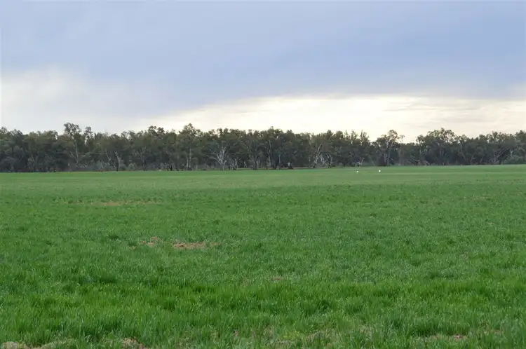 Seventh view of Homely rural property listing, 3931 Old Narrandera Road, Currawarna via, Wagga Wagga NSW 2650