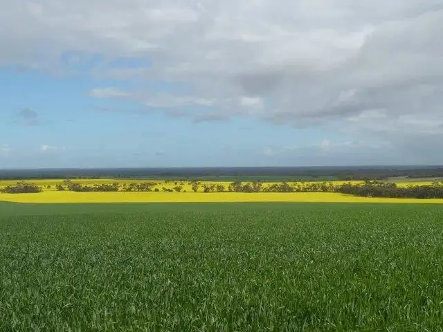 Main view of Homely rural property listing, Address available on request