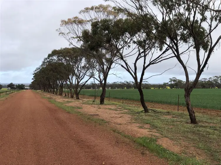 Seventh view of Homely rural property listing, Address available on request