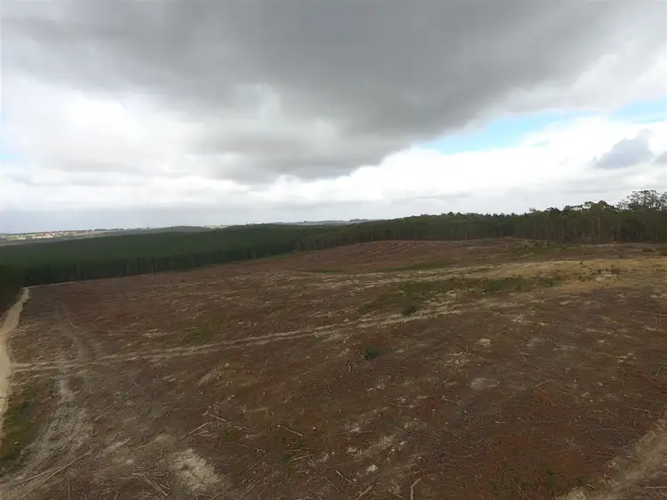 Second view of Homely rural property listing, "Gunn" Glenelg Highway, Linton VIC 3360