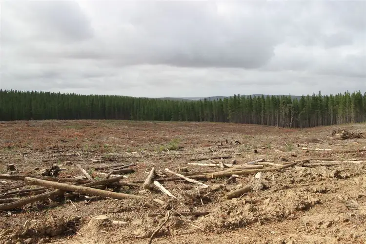 Third view of Homely rural property listing, "Gunn" Glenelg Highway, Linton VIC 3360