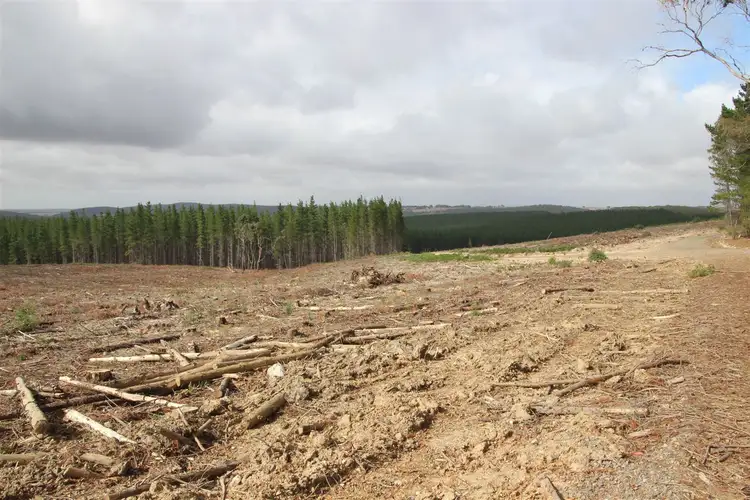 Fourth view of Homely rural property listing, "Gunn" Glenelg Highway, Linton VIC 3360