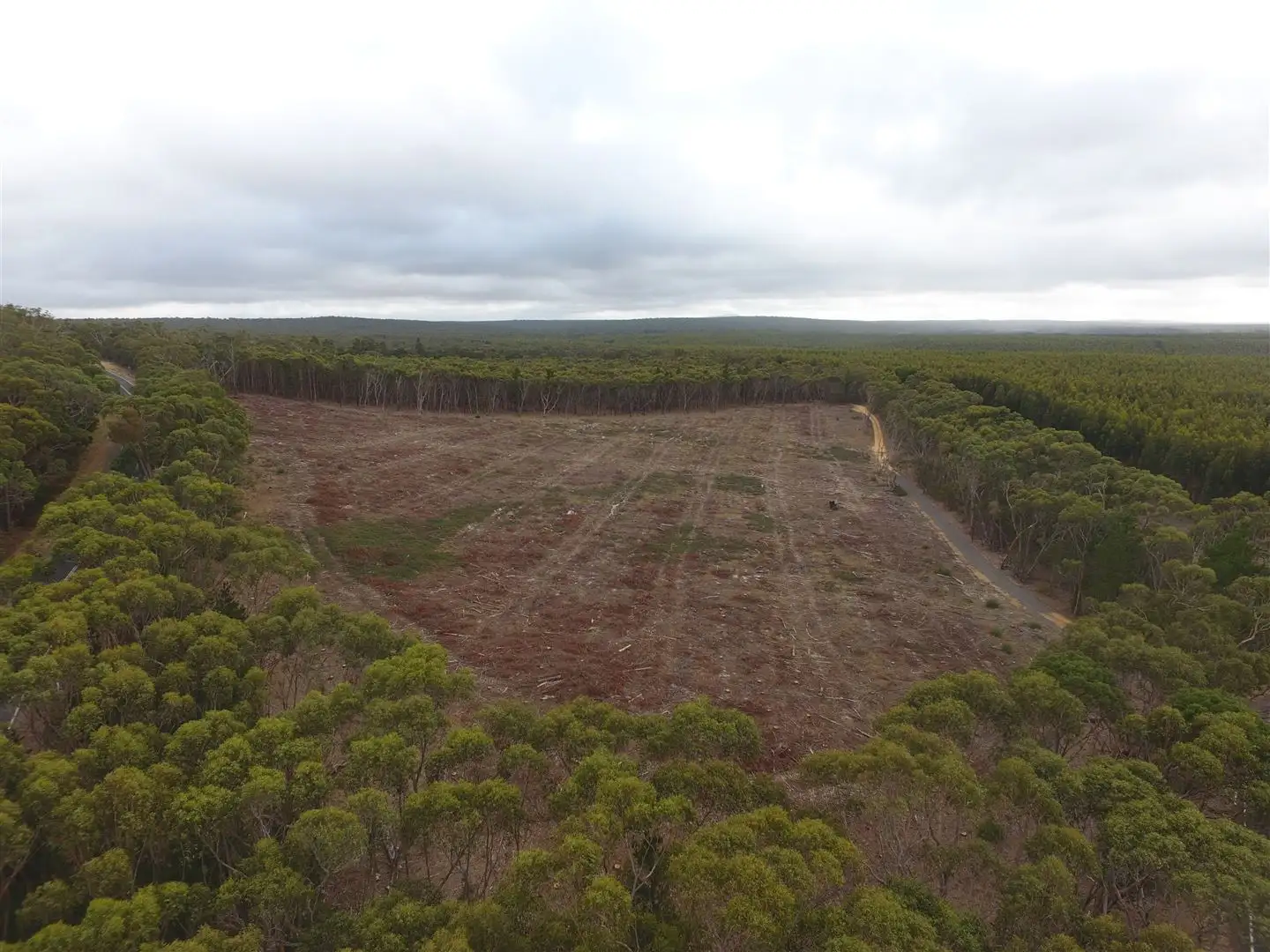 Main view of Homely rural property listing, "Mt Mercer Road" Colac-Ballarat Road, Enfield VIC 3352