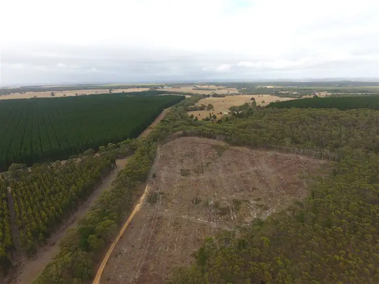 Third view of Homely rural property listing, "Mt Mercer Road" Colac-Ballarat Road, Enfield VIC 3352