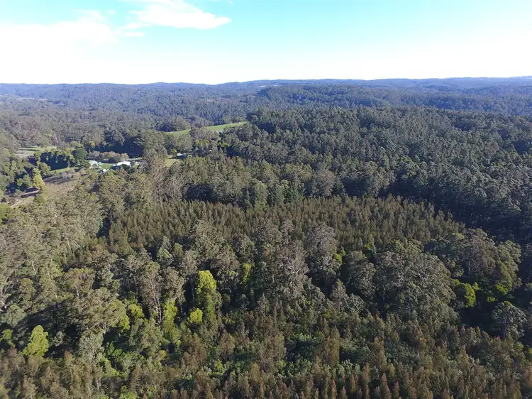 480 Forrest-Apollo Bay Road, Forrest VIC 3236