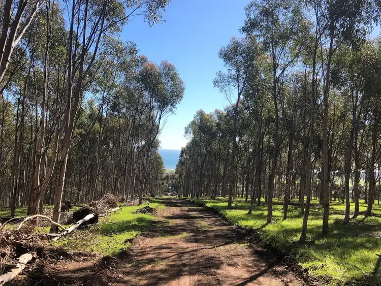 Seventh view of Homely land listing, Lot 271 Main South Road, Sellicks Hill SA 5174
