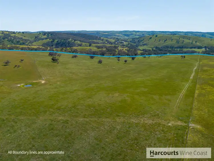 Seventh view of Homely rural property listing, 419 Signal Flat Road, Ashbourne SA 5157