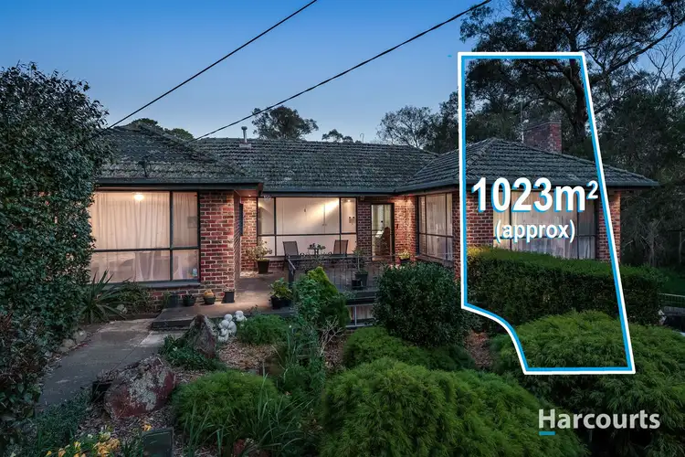 Main view of Homely house listing, 13 Elder Grove, Boronia VIC 3155