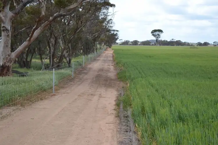 Fourth view of Homely rural property listing, . 'Springfield', Quairading WA 6383