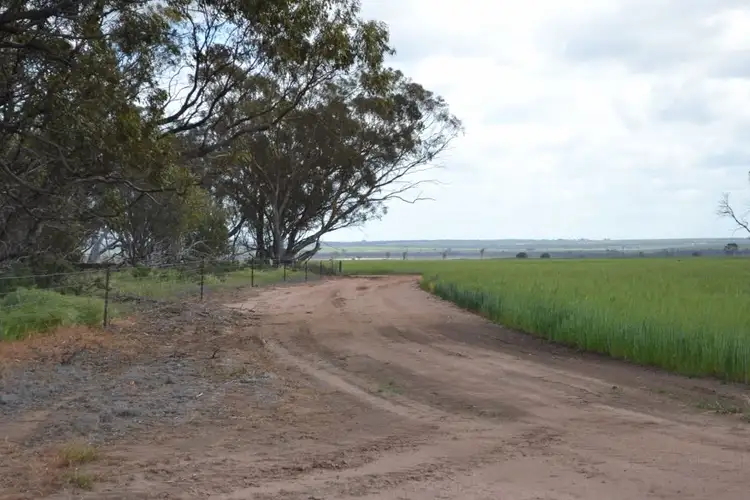 Sixth view of Homely rural property listing, . 'Springfield', Quairading WA 6383