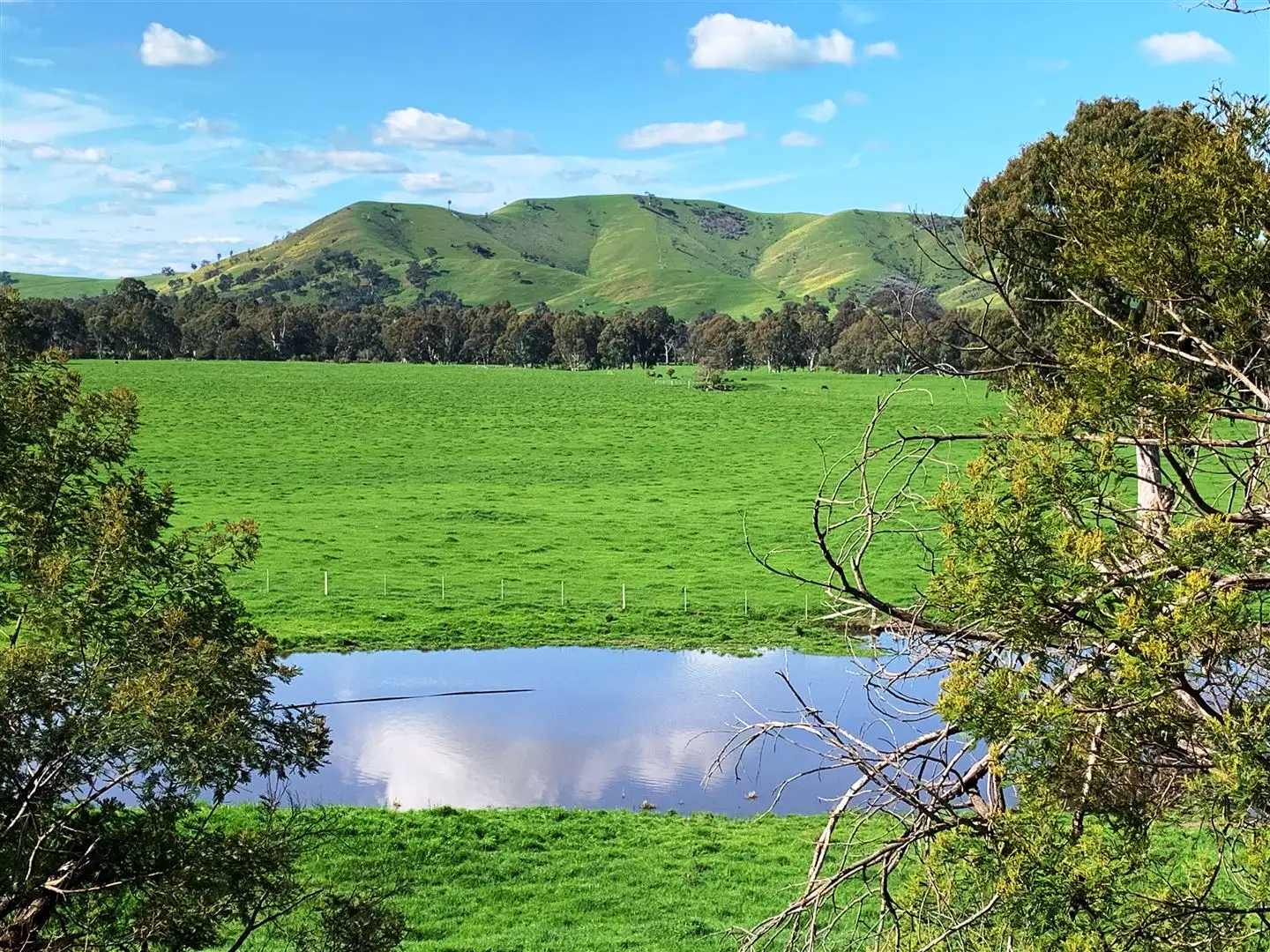 Main view of Homely house listing, 982 Whanregarwen Road, Alexandra VIC 3714