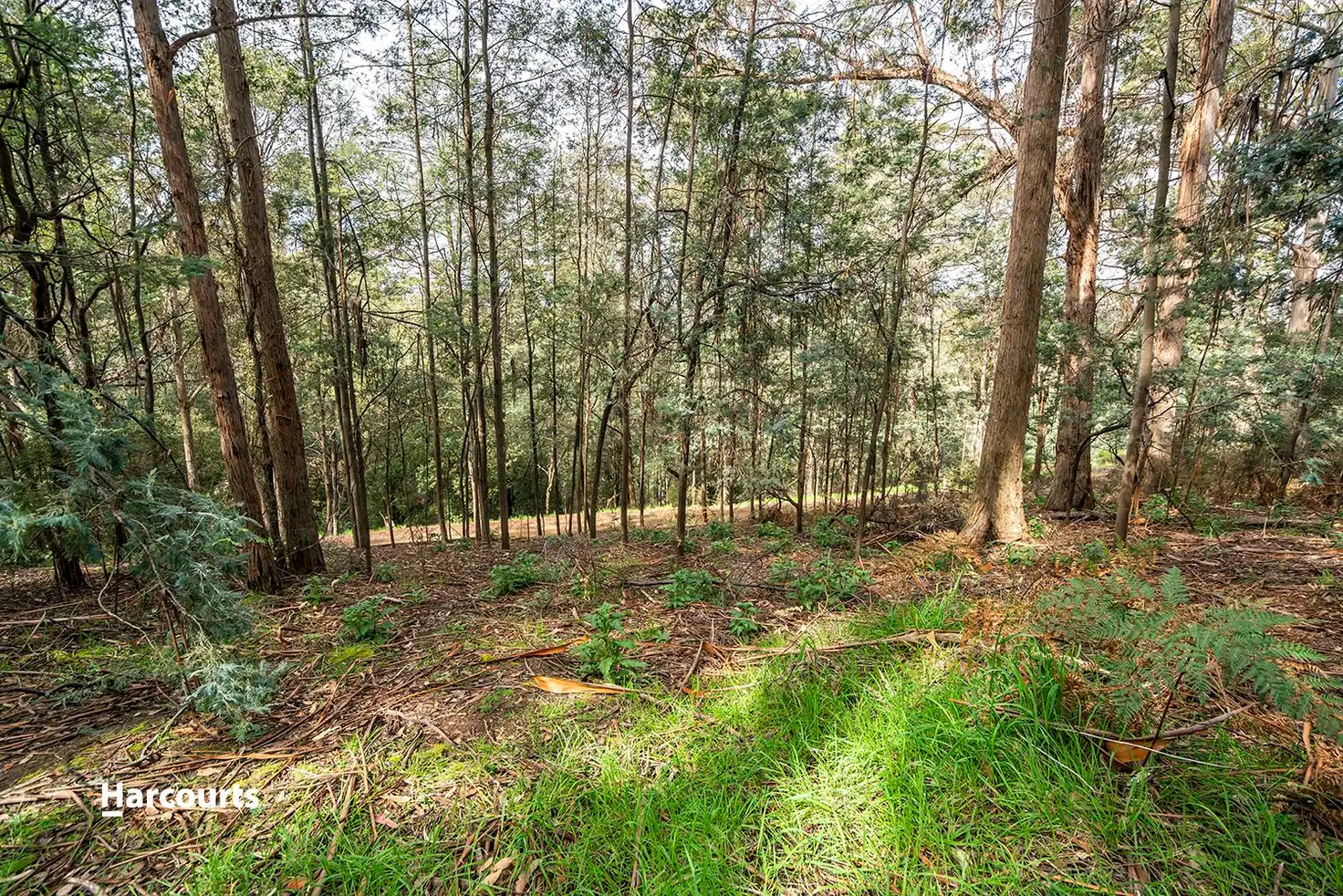 Main view of Homely land listing, - Geards Road, Cygnet TAS 7112