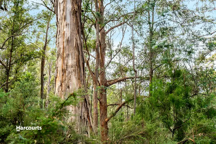 Fourth view of Homely land listing, - Geards Road, Cygnet TAS 7112