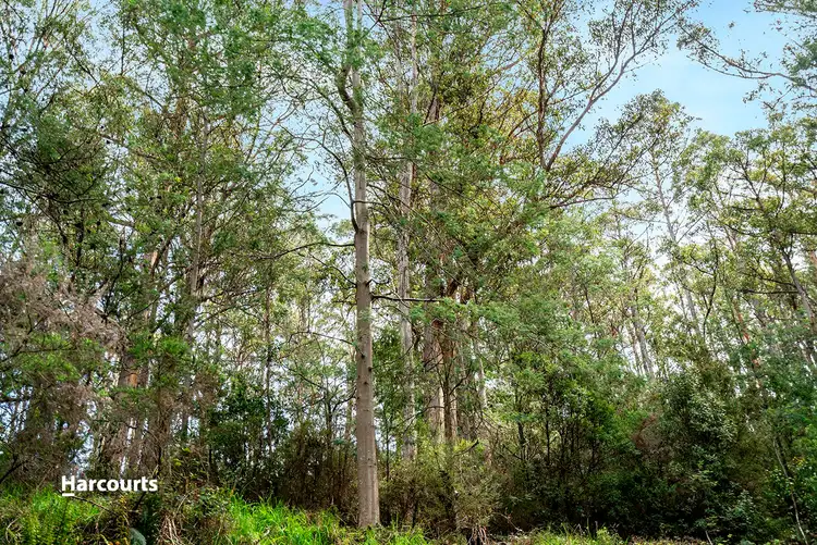 Fifth view of Homely land listing, - Geards Road, Cygnet TAS 7112