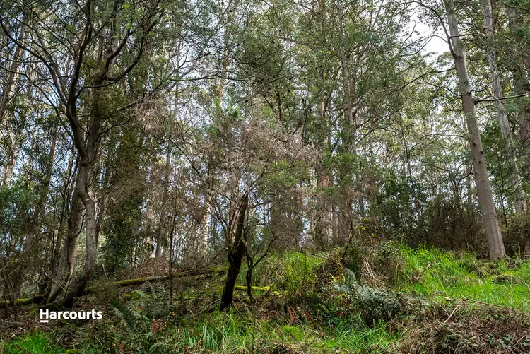 Seventh view of Homely land listing, - Geards Road, Cygnet TAS 7112