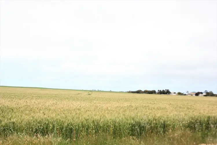 Fifth view of Homely land listing, Lot 61 Bowden Street, Coobowie SA 5583