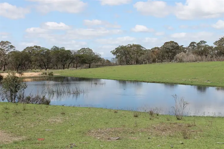 Third view of Homely rural property listing, 1050 Little Bombay Road - Yellow Box Ridge, Braidwood NSW 2622