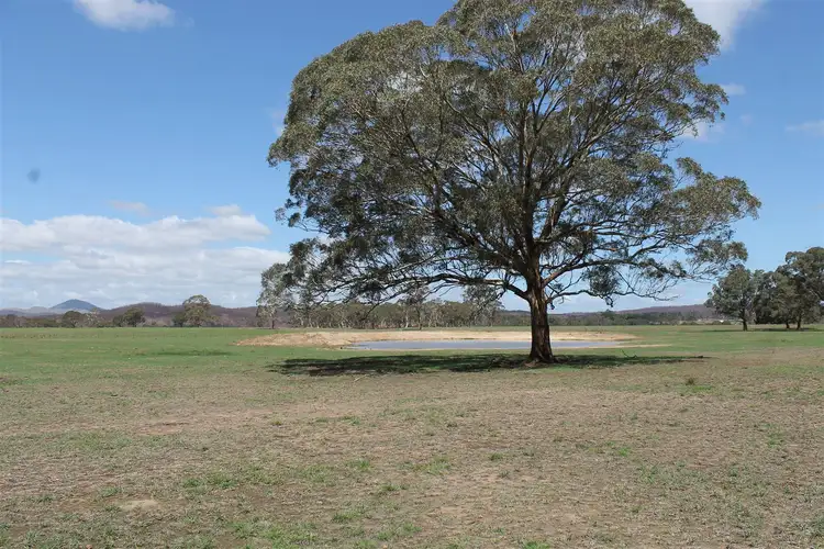 Sixth view of Homely rural property listing, 1050 Little Bombay Road - Yellow Box Ridge, Braidwood NSW 2622