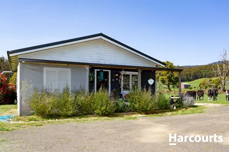 Main view of Homely house listing, 53 Coffey Road, Talawa TAS 7263