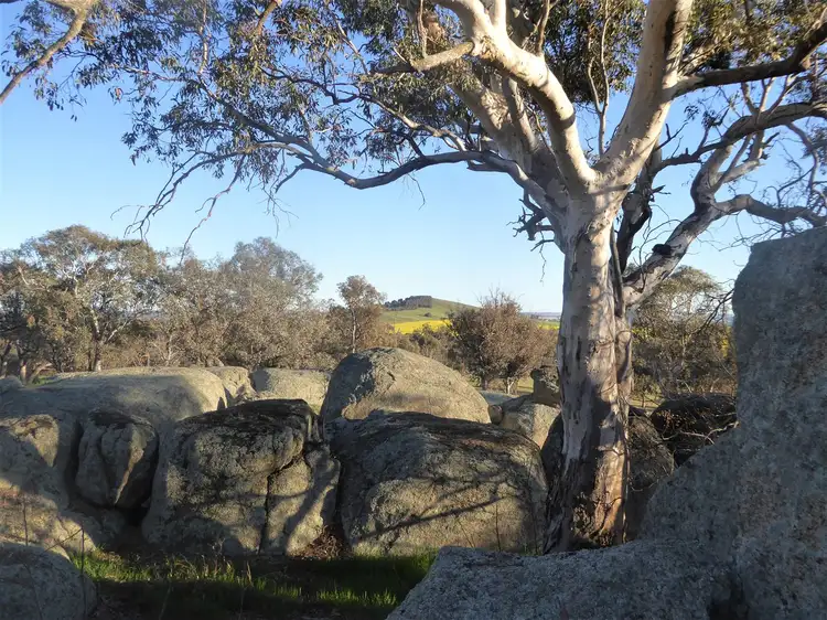 Main view of Homely rural property listing, 127 Iron Post Lane, Burrumbuttock NSW 2642