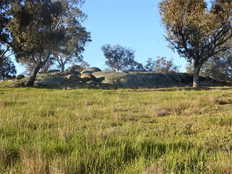 Third view of Homely rural property listing, 127 Iron Post Lane, Burrumbuttock NSW 2642