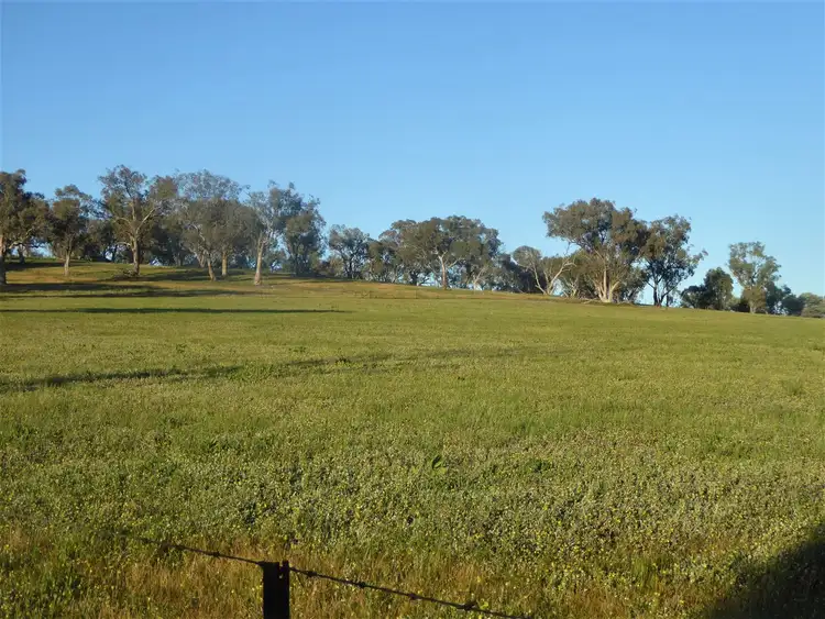 Fourth view of Homely rural property listing, 127 Iron Post Lane, Burrumbuttock NSW 2642