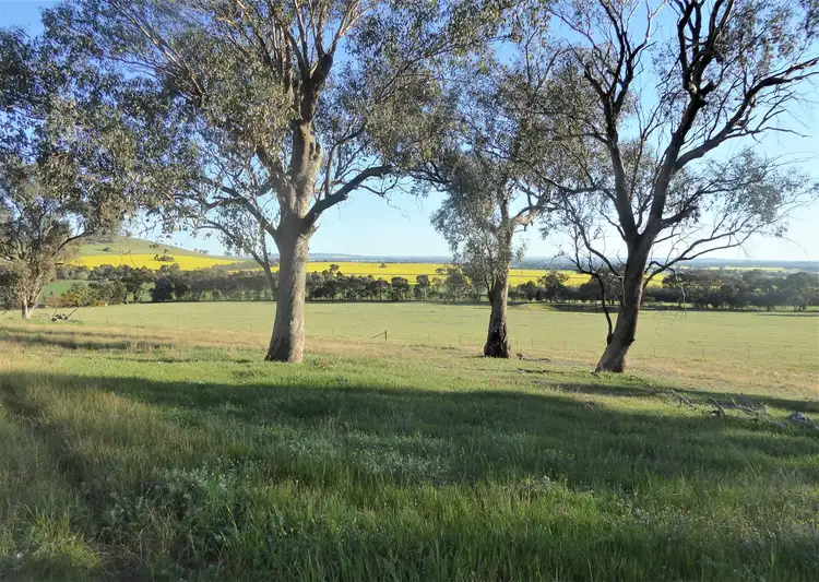 Fifth view of Homely rural property listing, 127 Iron Post Lane, Burrumbuttock NSW 2642