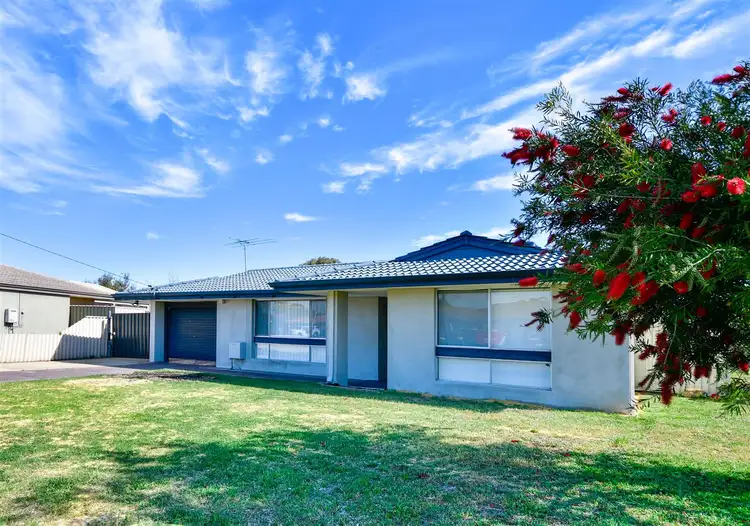Main view of Homely house listing, 7 Willow Court, Cooloongup WA 6168