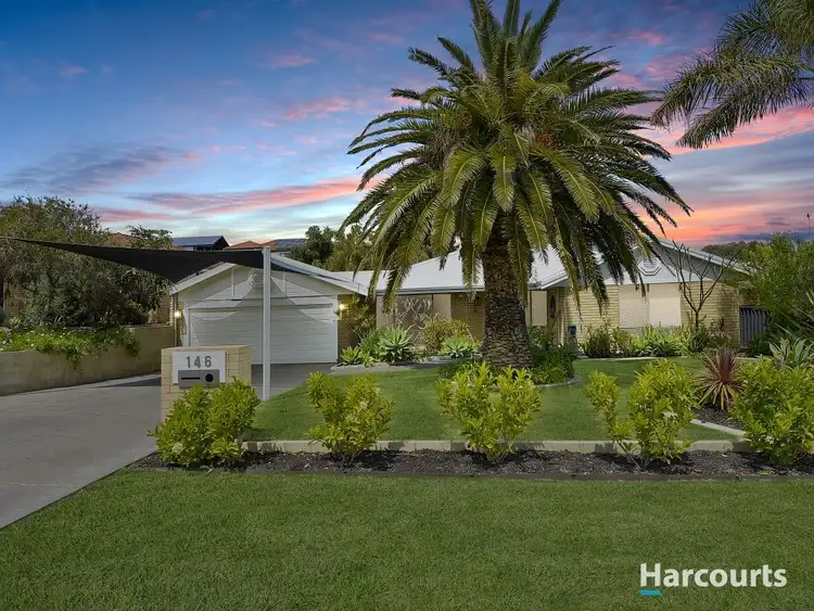 Main view of Homely house listing, 146 McLarty Road, Halls Head WA 6210