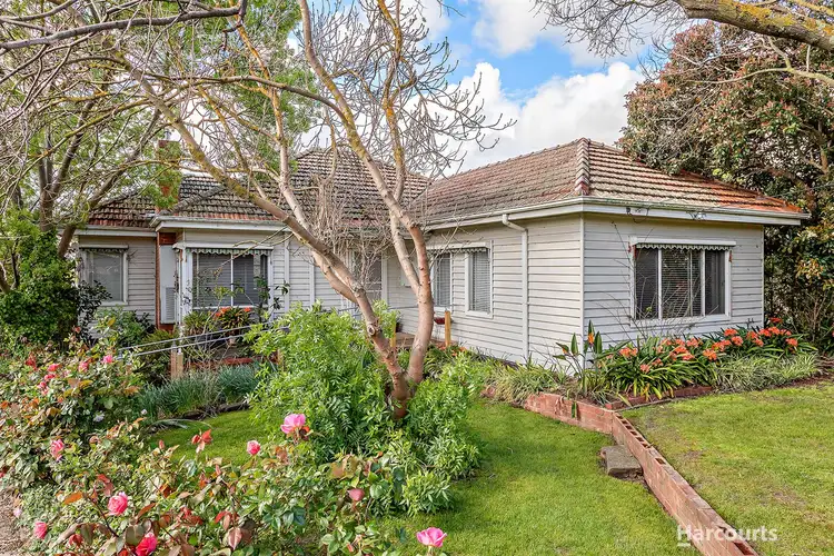 20 Joyhill Avenue, Box Hill South VIC 3128