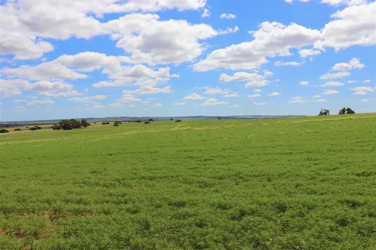Fourth view of Homely rural property listing, Address available on request