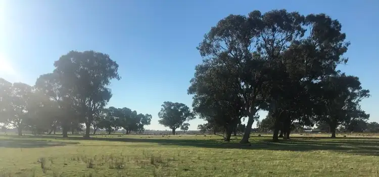 3209 Perricoota Road, Moama NSW 2731