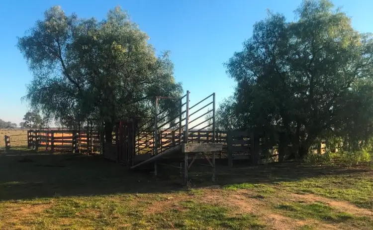 Second view of Homely rural property listing, 3209 Perricoota Road, Moama NSW 2731