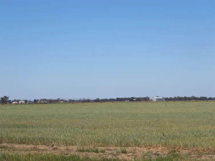 Third view of Homely rural property listing, 3209 Perricoota Road, Moama NSW 2731