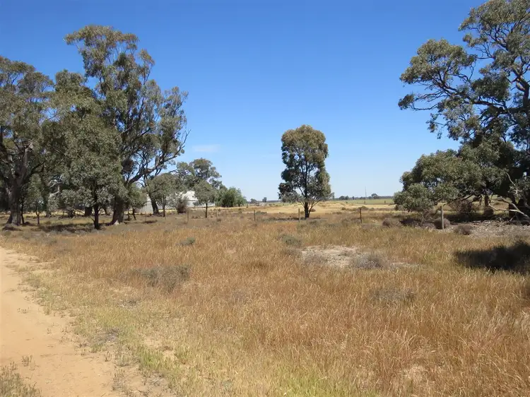 Fifth view of Homely rural property listing, 3209 Perricoota Road, Moama NSW 2731