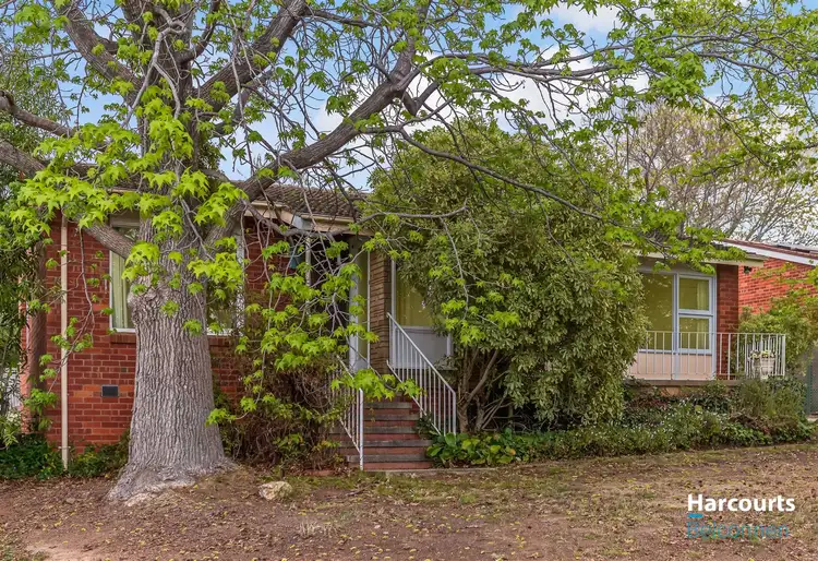 Second view of Homely house listing, 59 Archibald Street, Lyneham ACT 2602