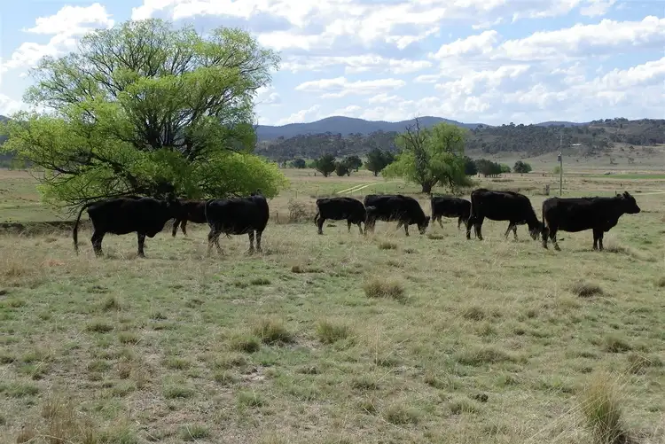 Fifth view of Homely rural property listing, 9000 Beresford Road Rose Valley, Cooma NSW 2630