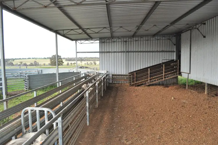 Fourth view of Homely rural property listing, ' The Brook ', Cranbrook WA 6321