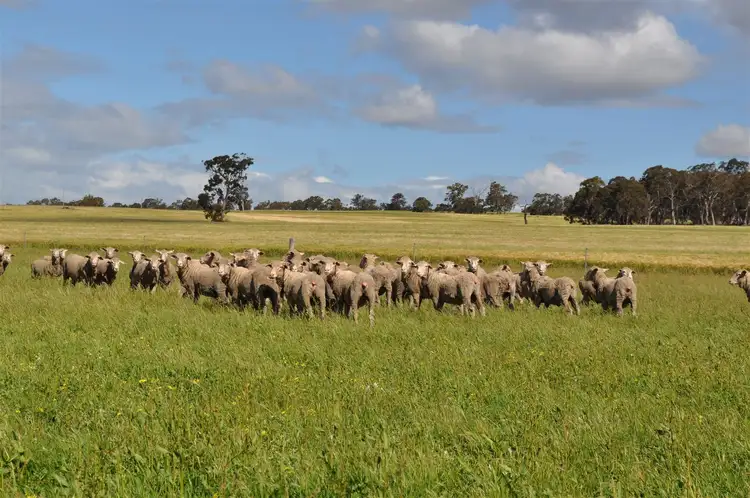 Fifth view of Homely rural property listing, ' The Brook ', Cranbrook WA 6321