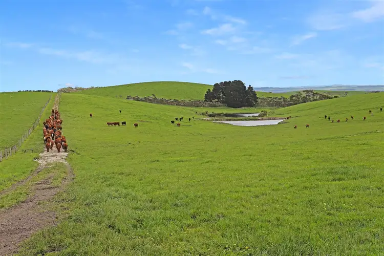 Main view of Homely rural property listing, Lot 1 Scott Road, Buffalo VIC 3958