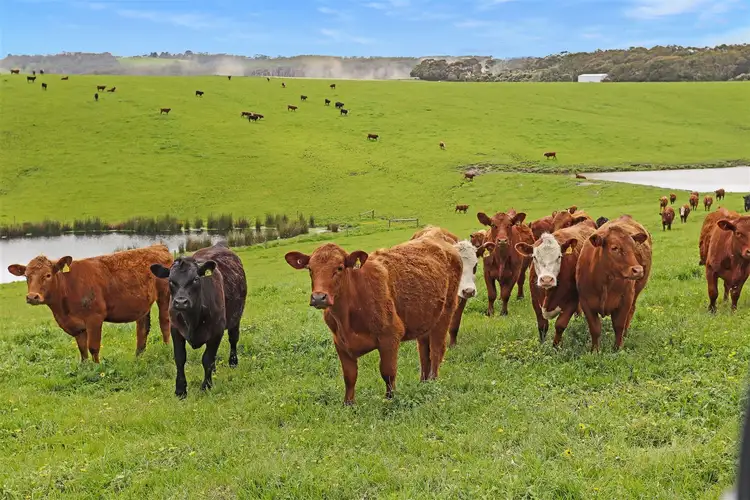 Fourth view of Homely rural property listing, Lot 1 Scott Road, Buffalo VIC 3958