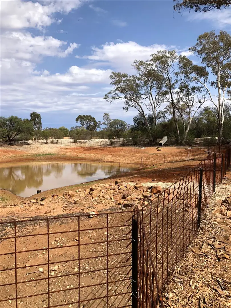 Main view of Homely rural property listing, * Lynch's, Cobar NSW 2835