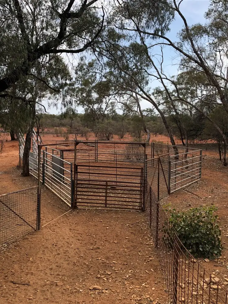 Fifth view of Homely rural property listing, * Lynch's, Cobar NSW 2835
