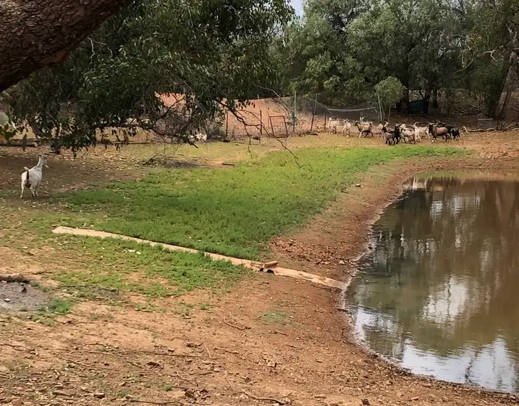 Sixth view of Homely rural property listing, * Lynch's, Cobar NSW 2835