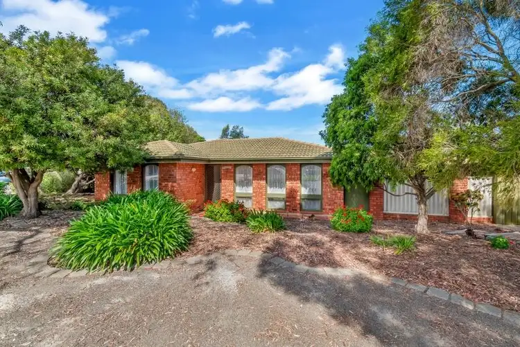 Second view of Homely house listing, 7 Palomino Parade, Wynn Vale SA 5127