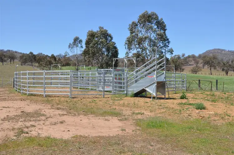 Seventh view of Homely rural property listing, . "Jura" Waverley Rd, Gundy via, Scone NSW 2337