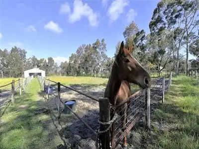 Main view of Homely rural property listing, 19 Mears Road, Barragup WA