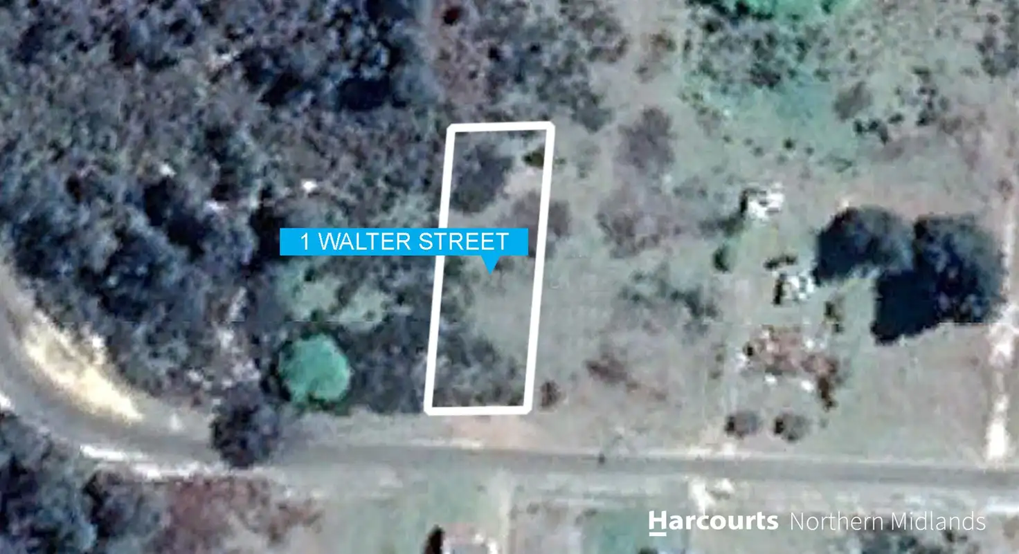 Main view of Homely land listing, 1 Walter Street, Rossarden TAS 7213